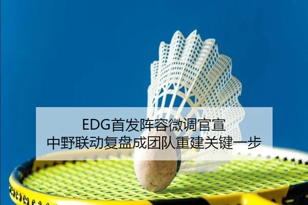 EDG首发阵容微调官宣 中野联动复盘成团队重建关键一步 - YABO